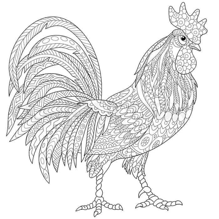 Mandala chicken coloring pages chicken coloring pages cartoon rooster chicken coloring