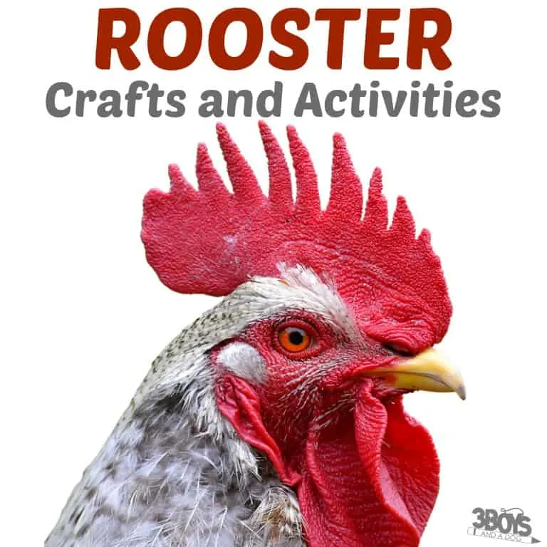 Rooster crafts and activities for kids