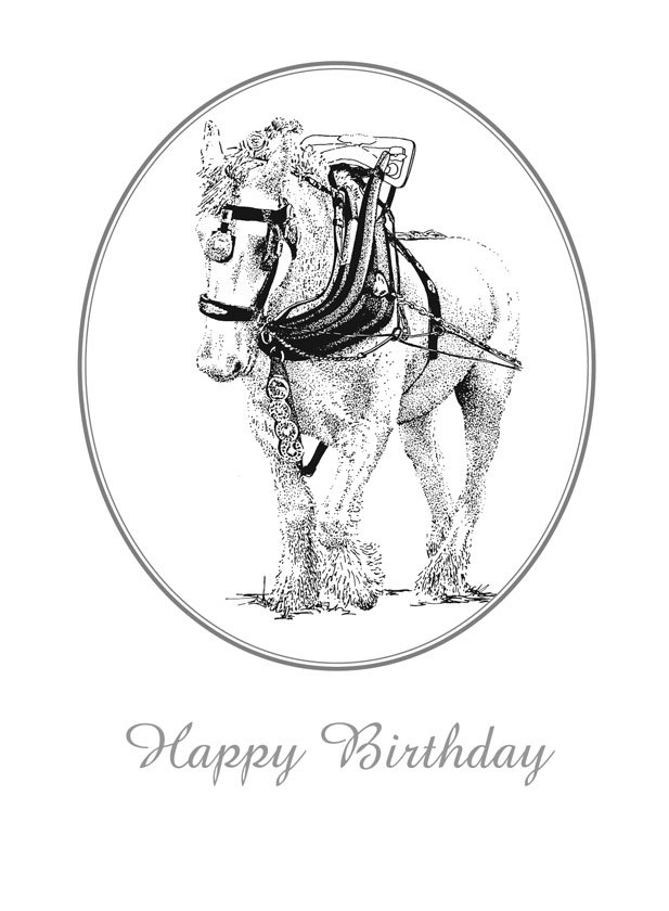 Shire horse birthday card â jinnee bears of exeter