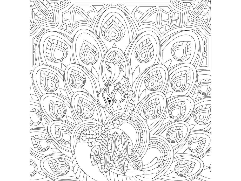 Plex coloring pages for