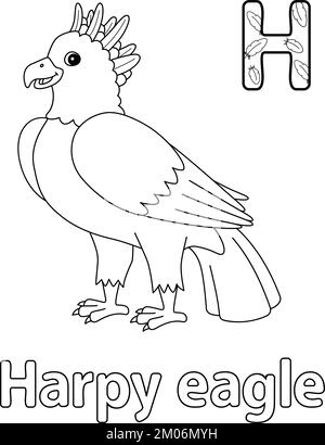 Harpy eagle alphabet abc isolated coloring page h stock vector image art