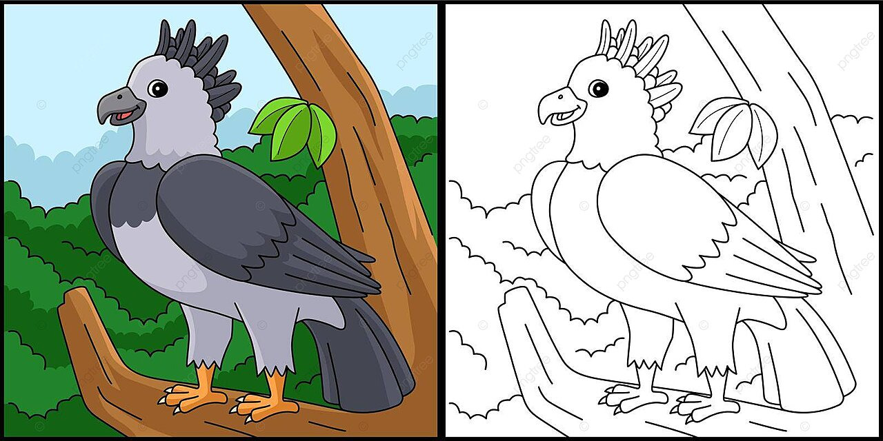 Harpy eagle animal coloring page illustration cartoon picture kids vector car drawing cartoon drawing eagle drawing png and vector with transparent background for free download