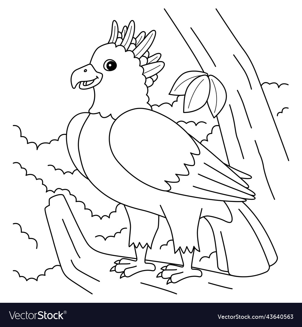 Harpy eagle animal coloring page for kids vector image