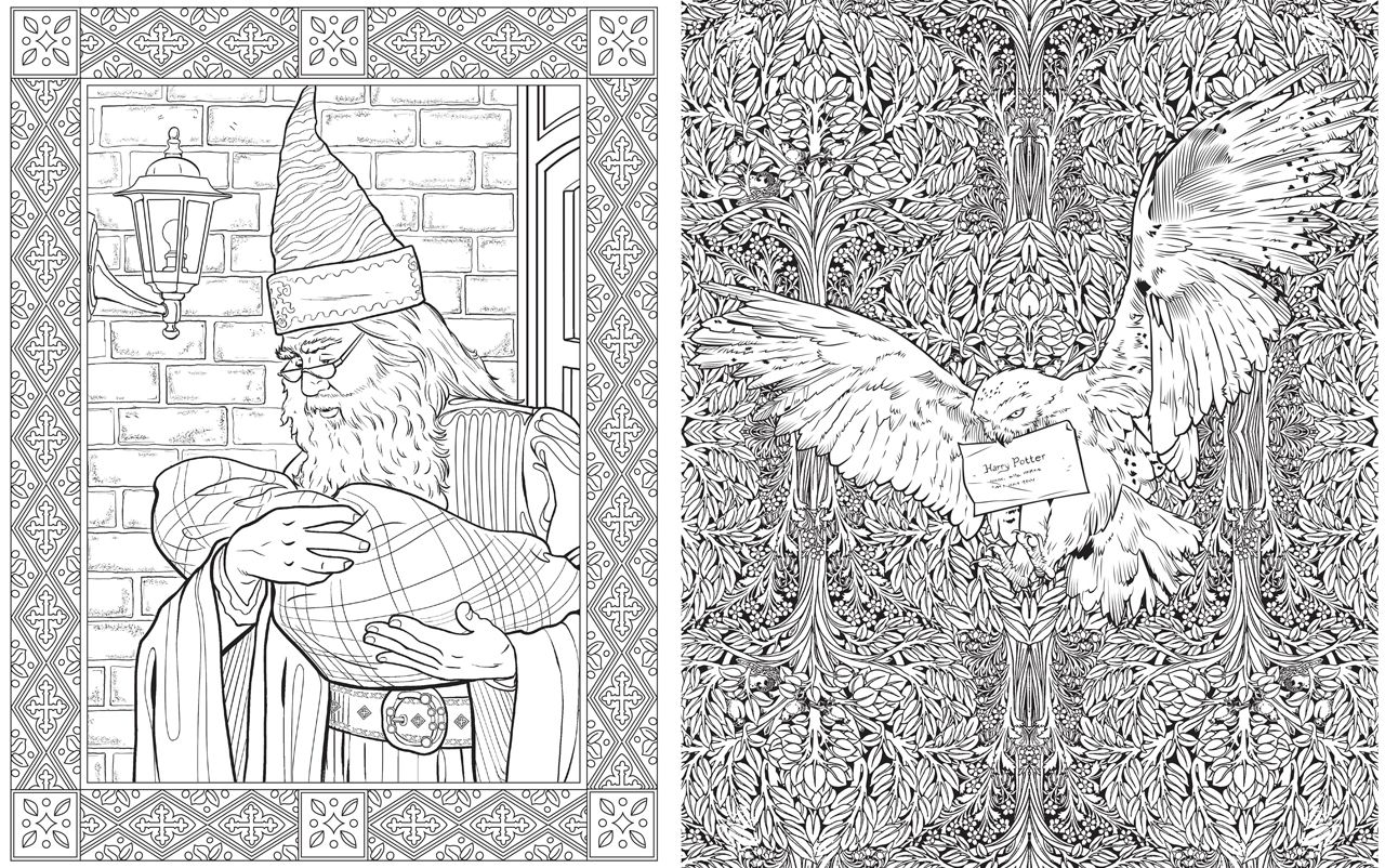 Preview the harry potter colouring book