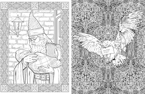 Harry potter coloring book by the teacher store