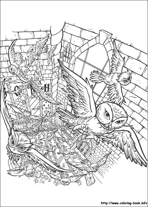 Harry potter coloring picture