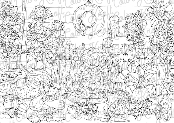 An abundant harvest coloring page printable digital download coloring