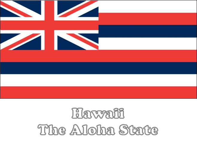 Large horizontal printable hawaii state flag from