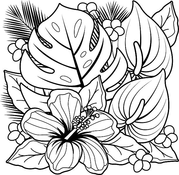 Tropical plants and hibiscus flowers coloring book page stock illustration