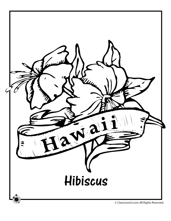 Hawaii state flower coloring page woo jr kids activities childrens publishing flower coloring pages coloring pages adult coloring pages