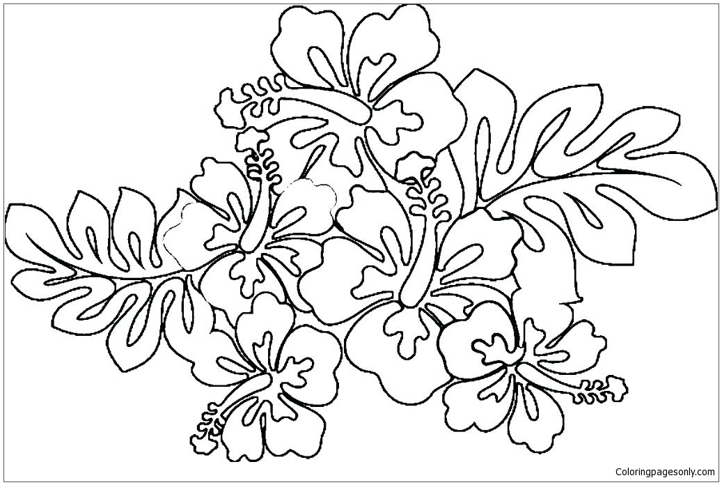 Hawaiian flower coloring page