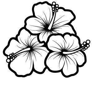 Hummingbird and hibiscus drawing bing images sketch coloring page hibiscus drawing flower drawing flower sketches