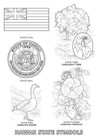 Hawaii state symbols coloring page from hawaii category select from printable crafts of cartoons naâ flag coloring pages hawaii state flag state symbols