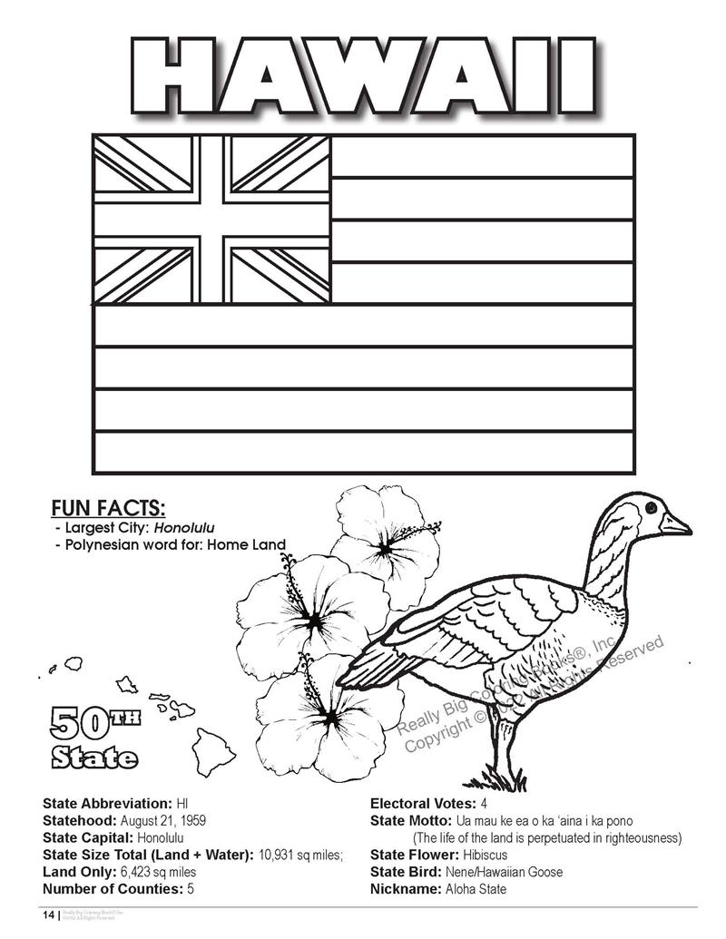 Hawaii state coloring book x
