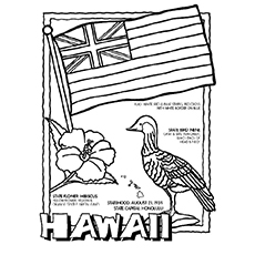 Top hawaiian coloring pages for toddler