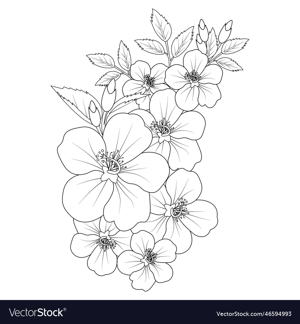 Hawaiian hibiscus flower coloring pagesink art vector image