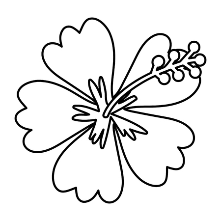 Hawaiian flower coloring pages stock illustrations cliparts and royalty free hawaiian flower coloring pages vectors