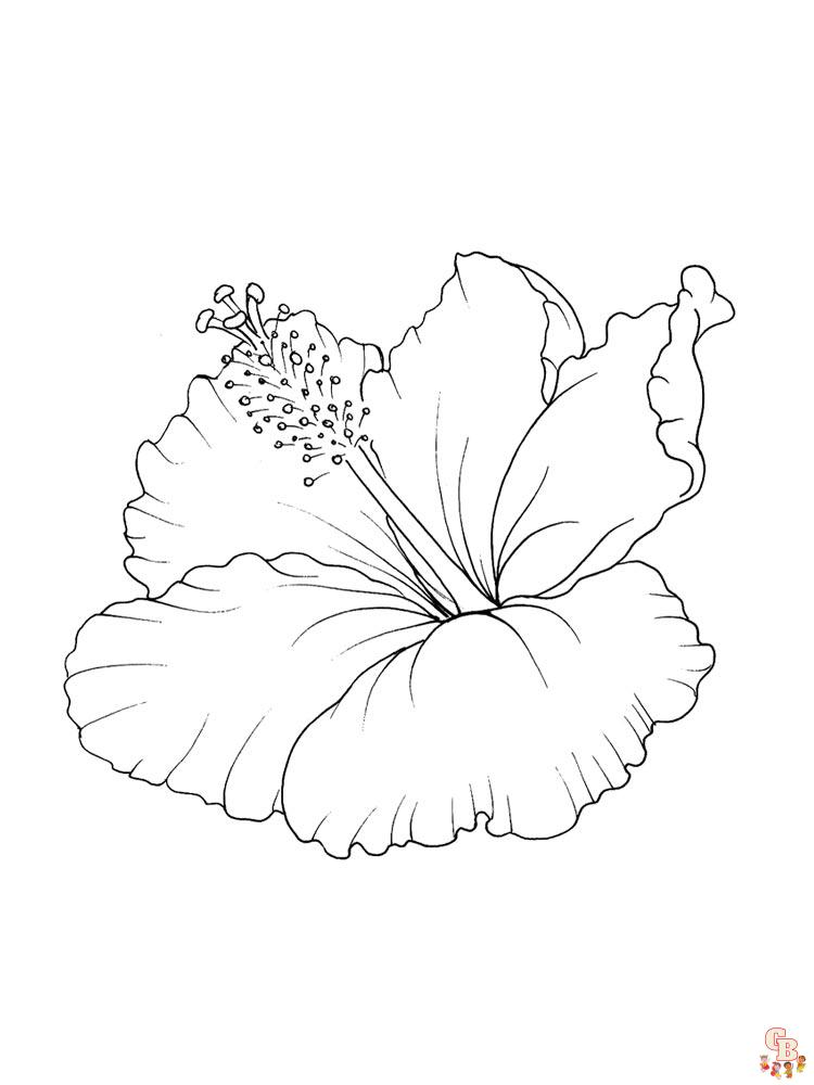 Discover the joy of coloring with hibiscus coloring pages