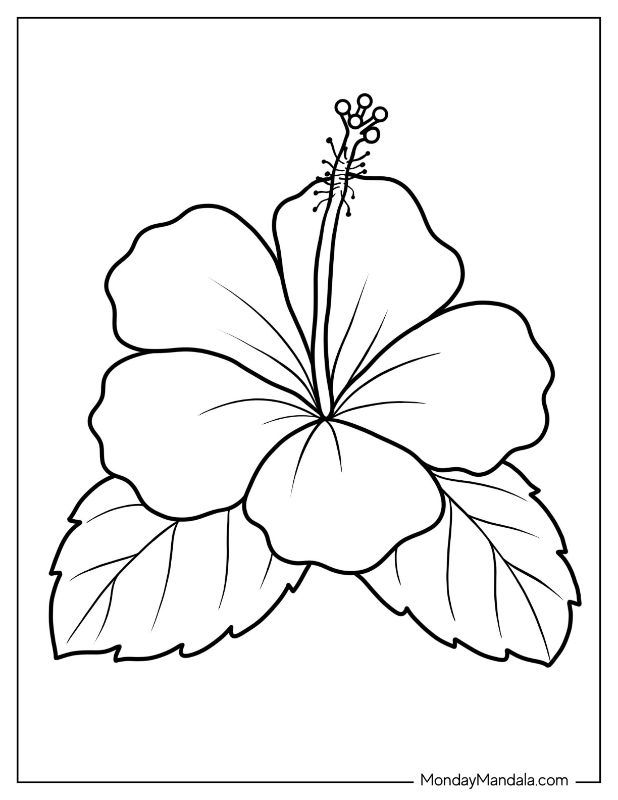 Flower coloring pages free pdf printables