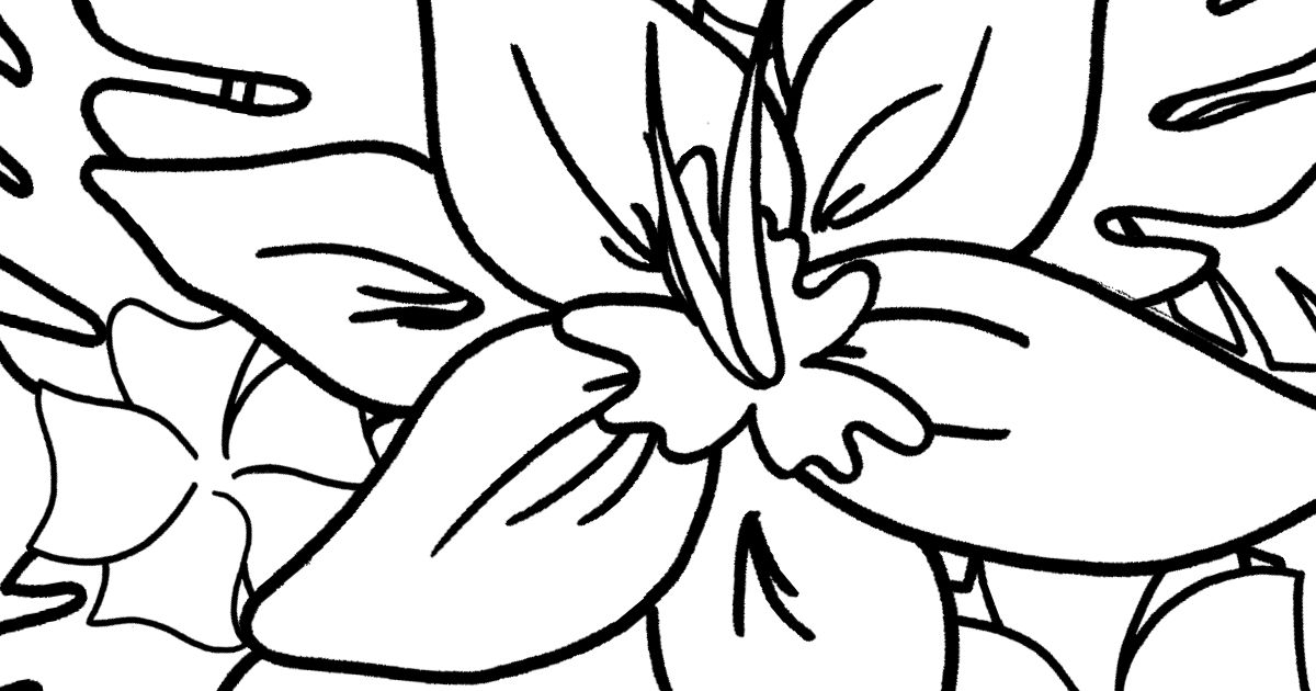 Hawaiian tropical flowers coloring page