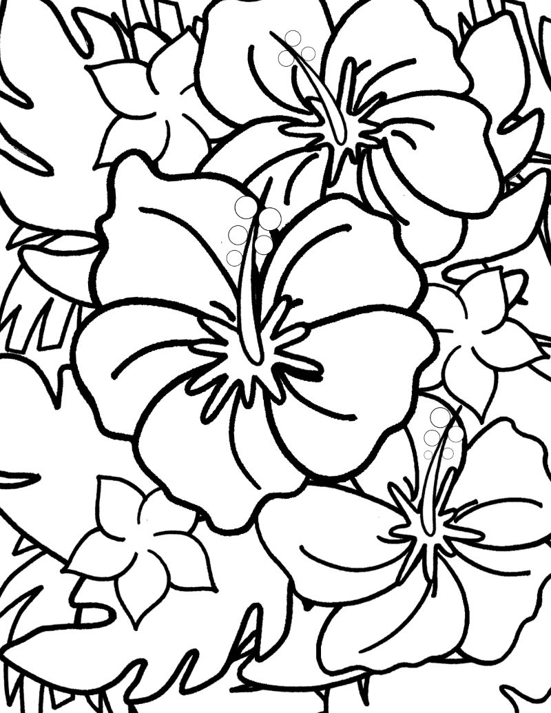 Free hibiscus coloring page for kids and adults