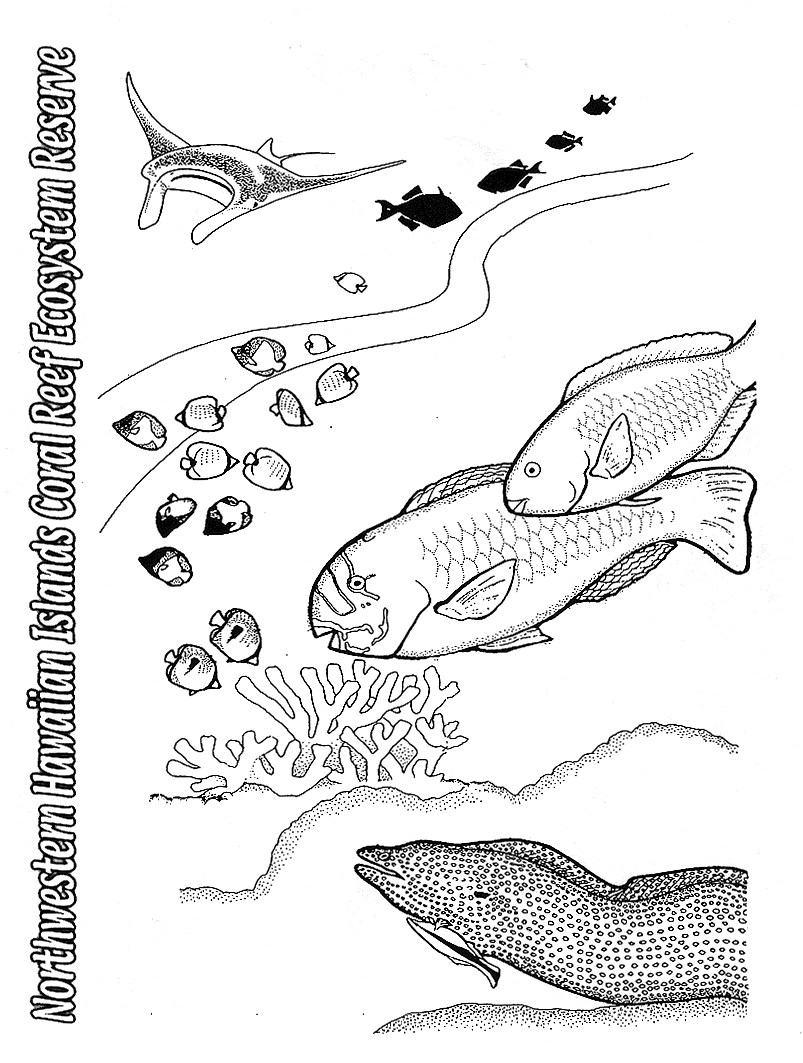 Papahänaumokuäkea marine national monument