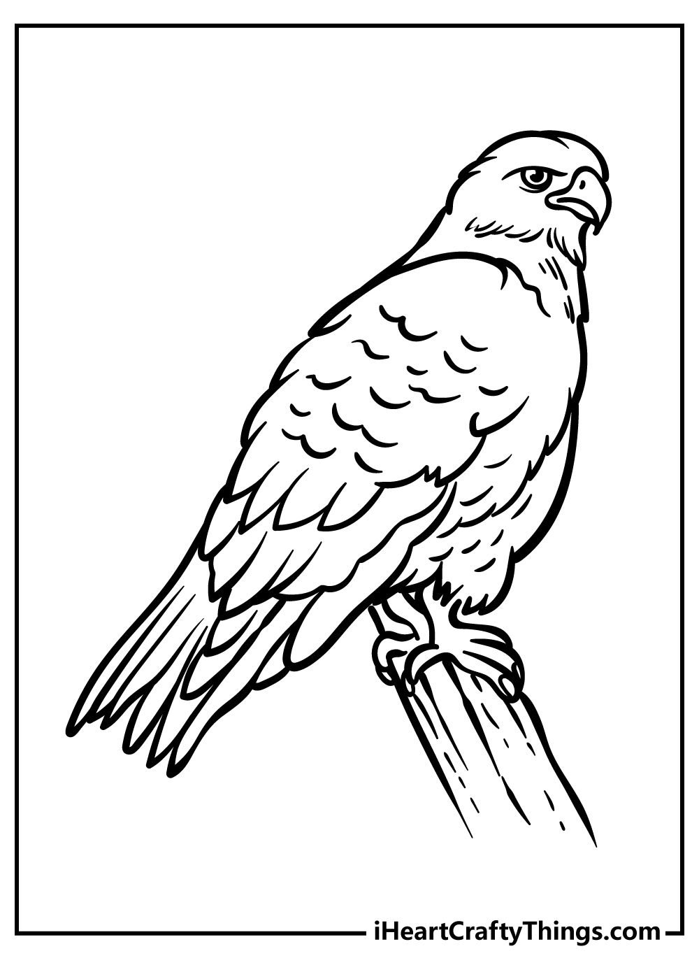 Hawk animals coloring pages free printables