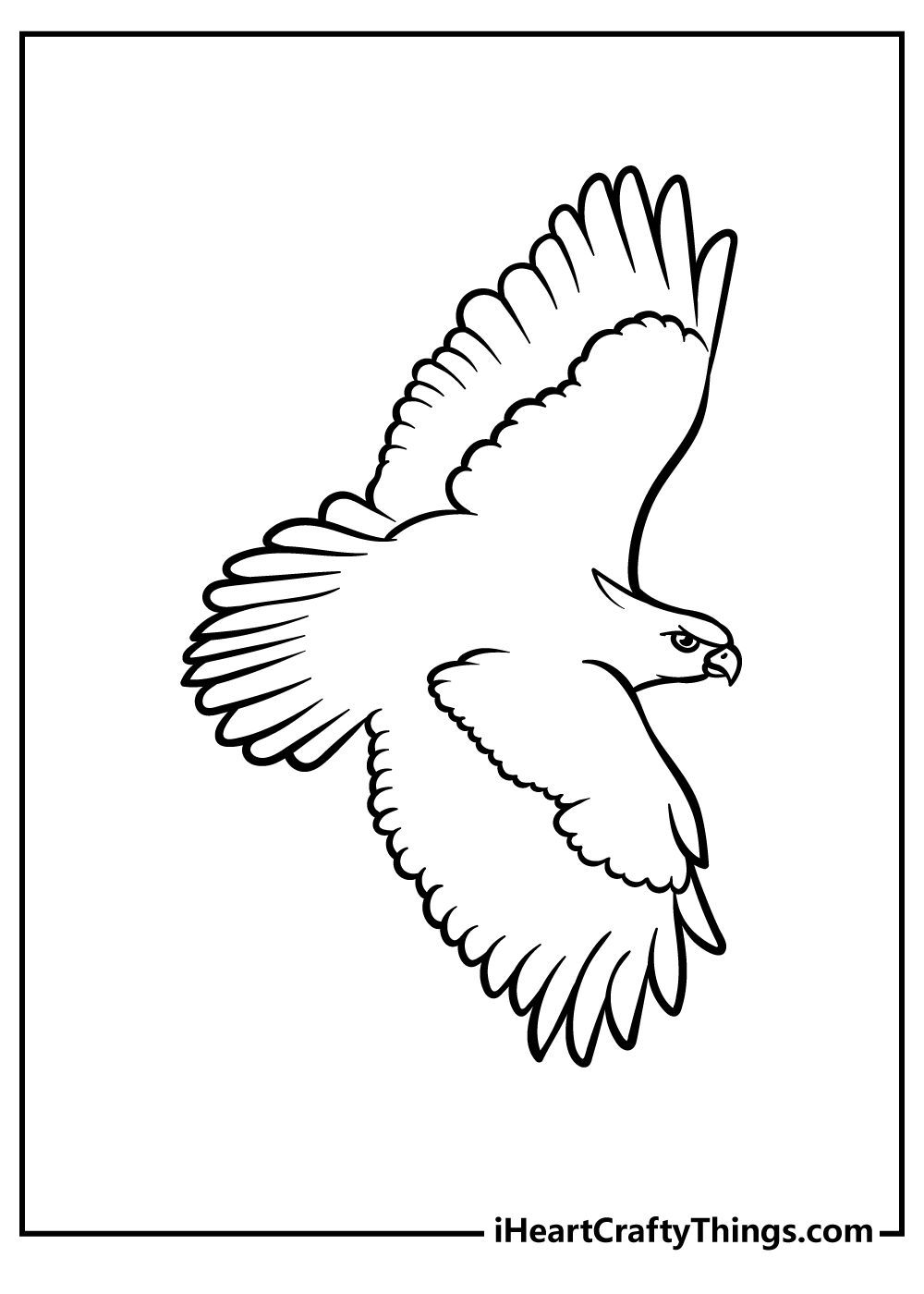 Hawk animals coloring pages free printables