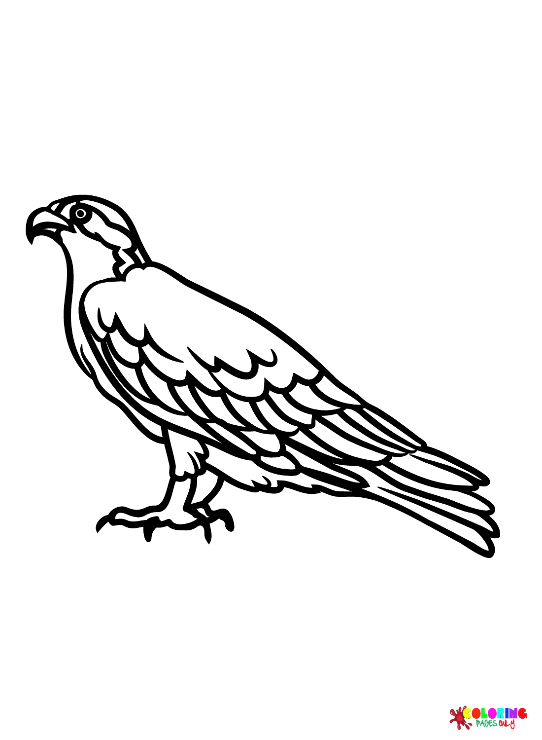 Hawks coloring pages printable for free download