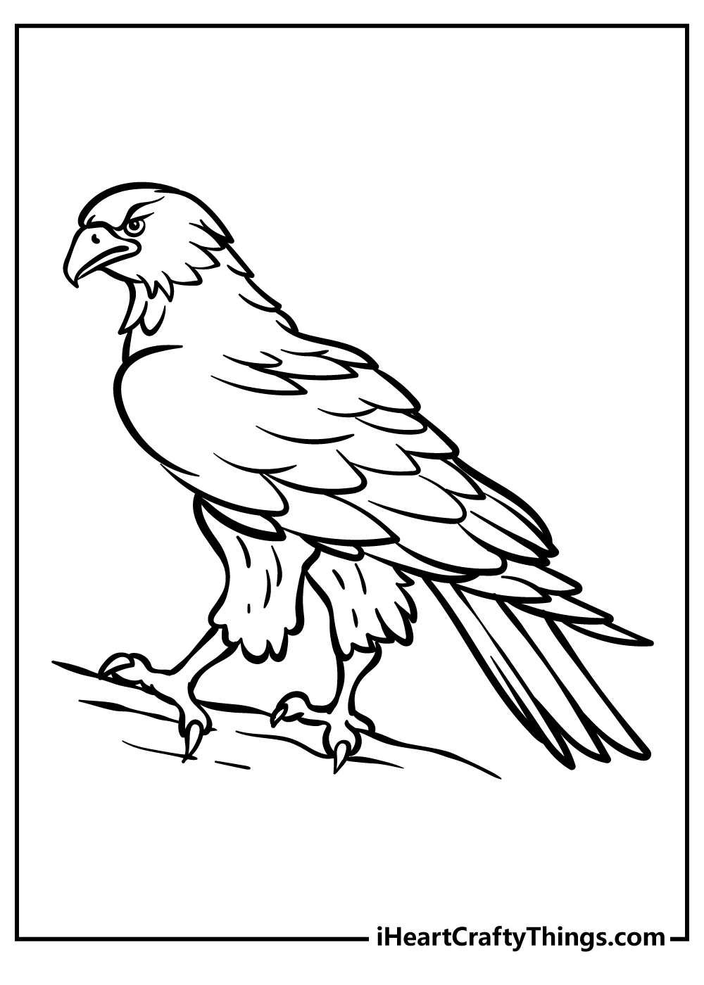 Hawk animals coloring pages free printables