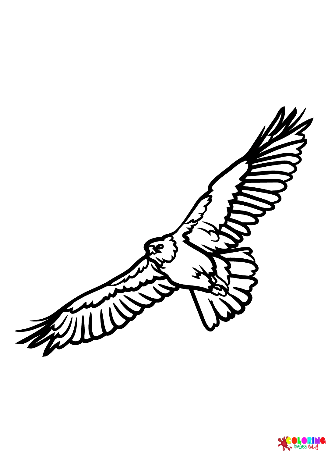 Hawks coloring pages printable for free download