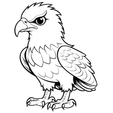 Premium vector hawk coloring pages for kid