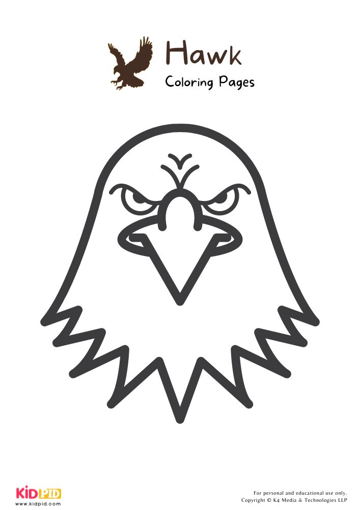 Hawk colorg pages for kids â free prtables prtables free kids colorg pages for kids colorg pages