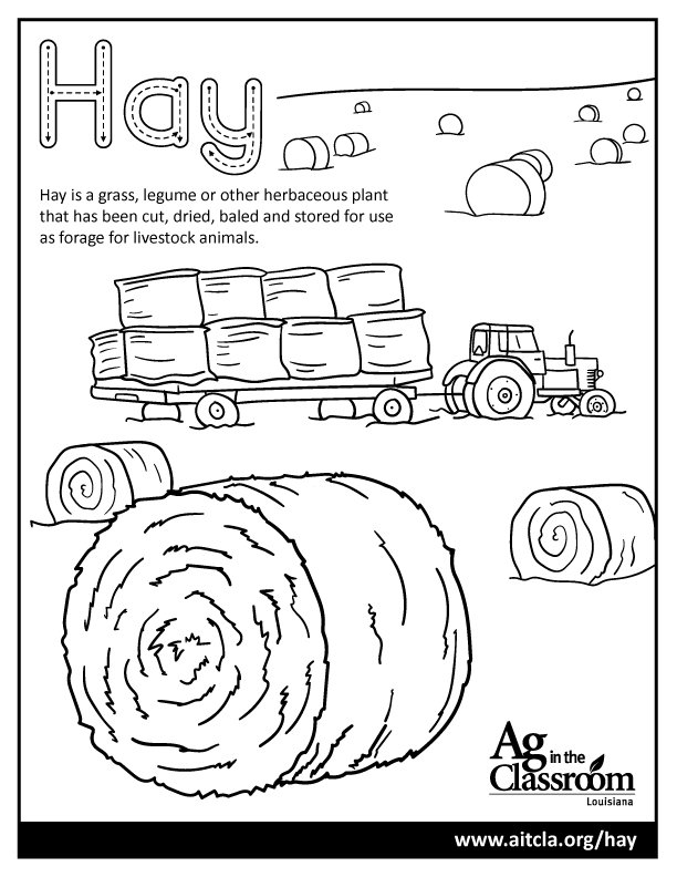 Hay â louisiana ag in the classroom