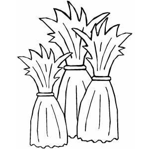 Three cornstalks coloring page fall coloring pages coloring pages fall arts and crafts