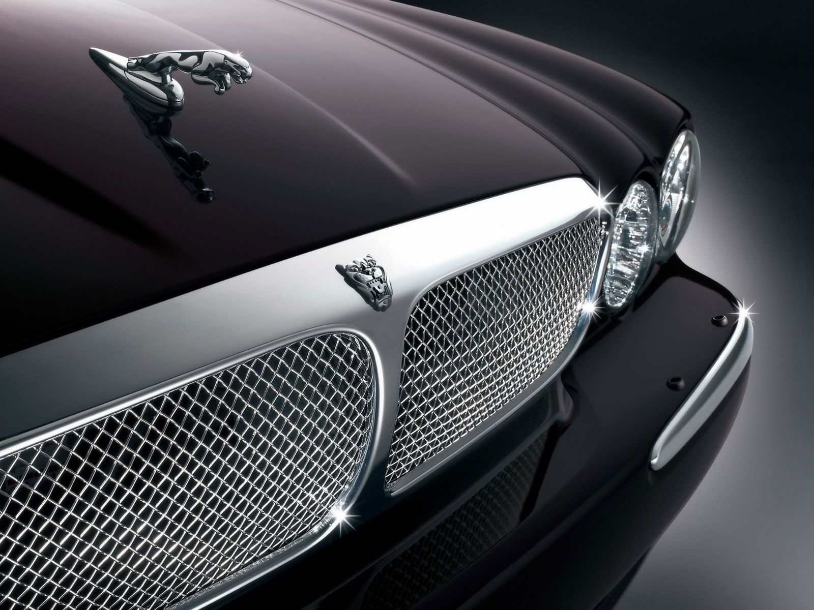 One day i will have my dream car jaguar car jaguar car logo jaguar