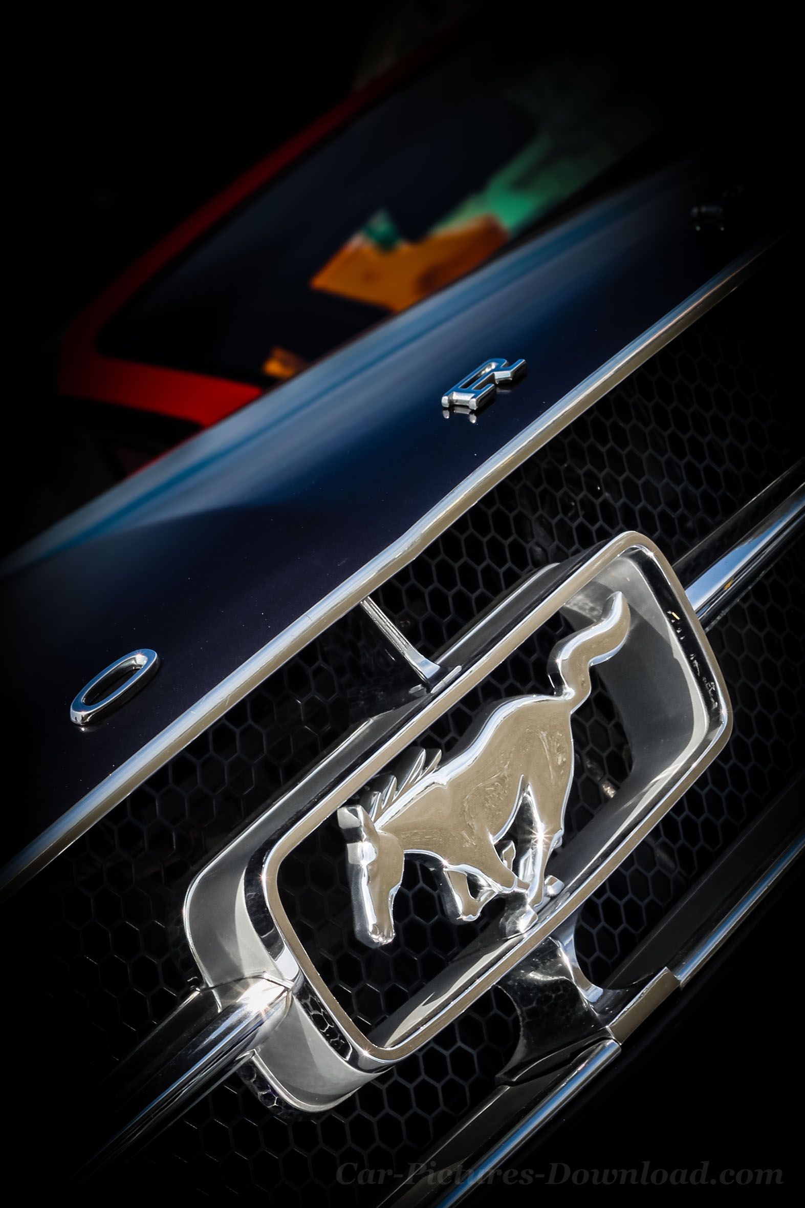 Ford mustang logo s on