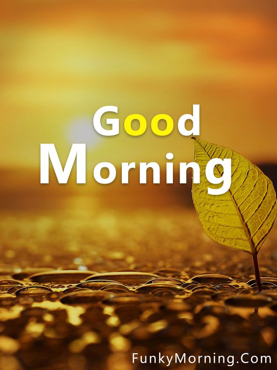 Good Morning Wishes Images, Messages, Quotes, HD Wallpapers, GIF