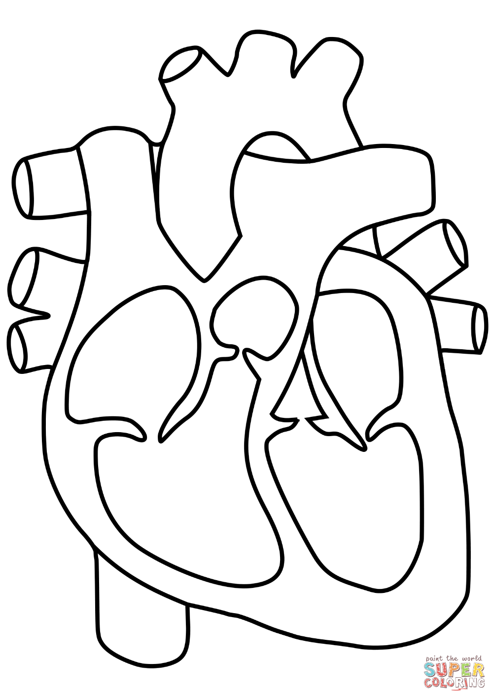 Human heart coloring page free printable coloring pages heart coloring pages anatomy coloring book heart diagram