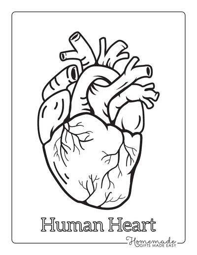 Best heart coloring pages for kids adults