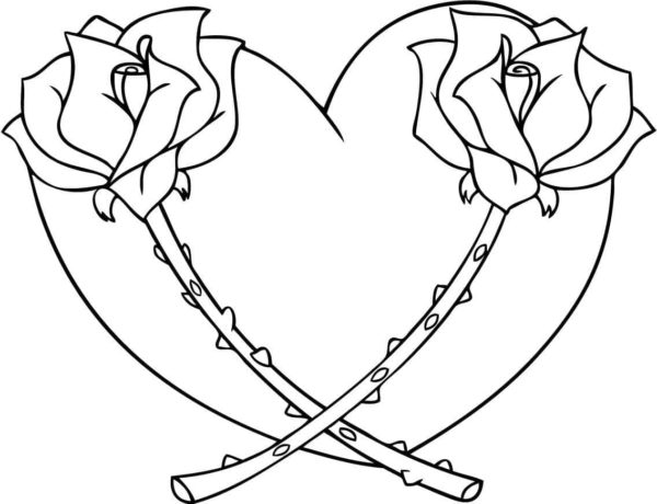 Roses with thorns on the background of the heart coloring page