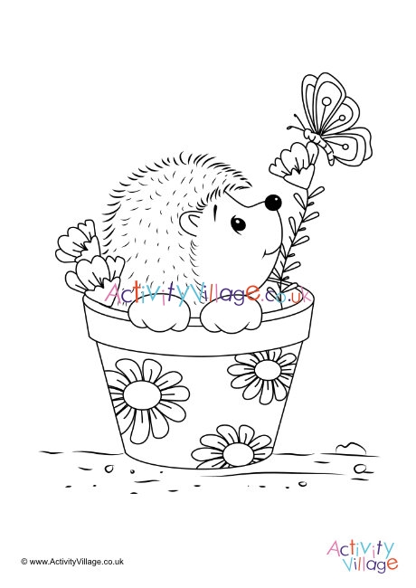 Flowerpot hedgehog louring page