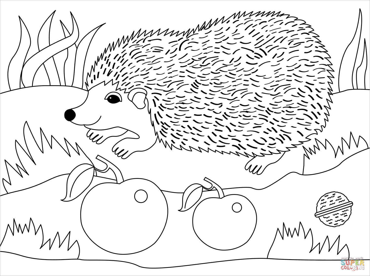 Hedgehog coloring page free printable coloring pages