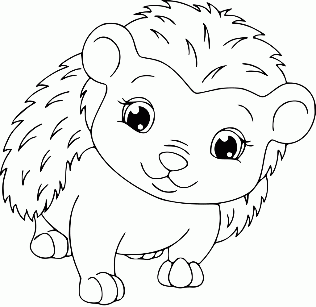 Hedgehog coloring pages