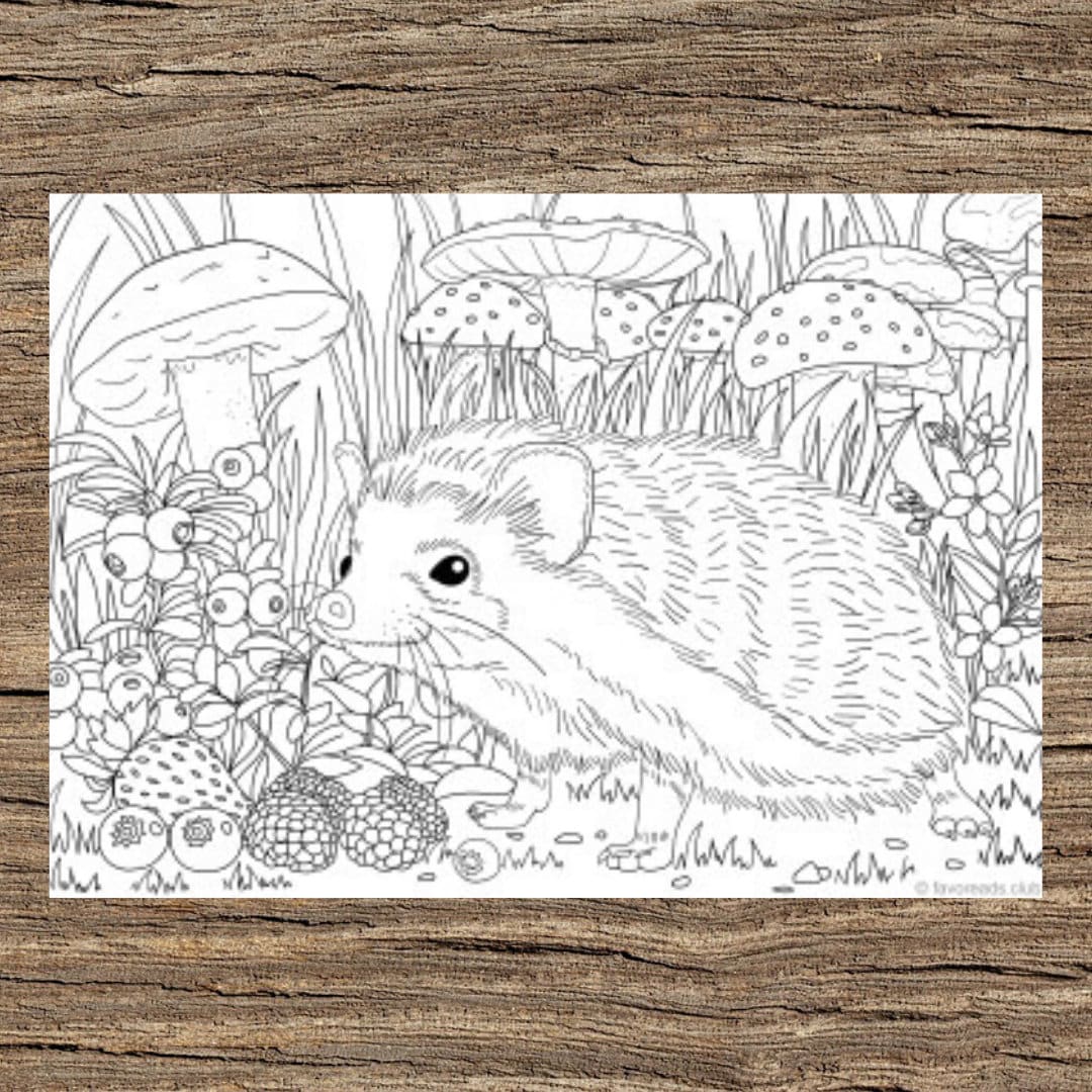 Hedgehog printable adult coloring page from favoreads coloring book pages for adults and kids coloring sheets coloring designs download now