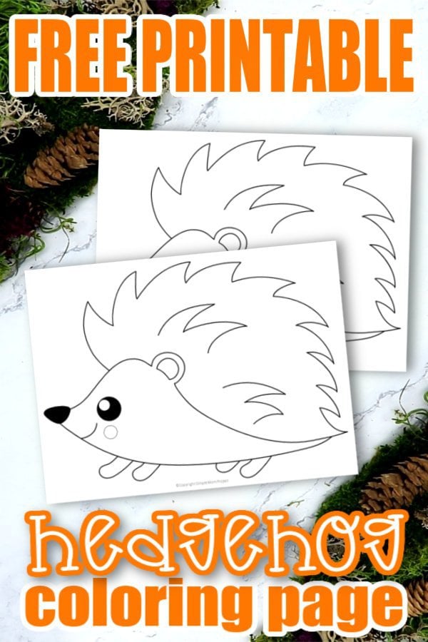 Free printable forest hedgehog coloring page â simple mom project