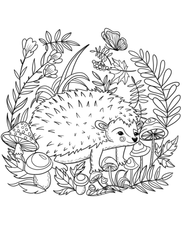 Hedgehog coloring page free printable coloring pages