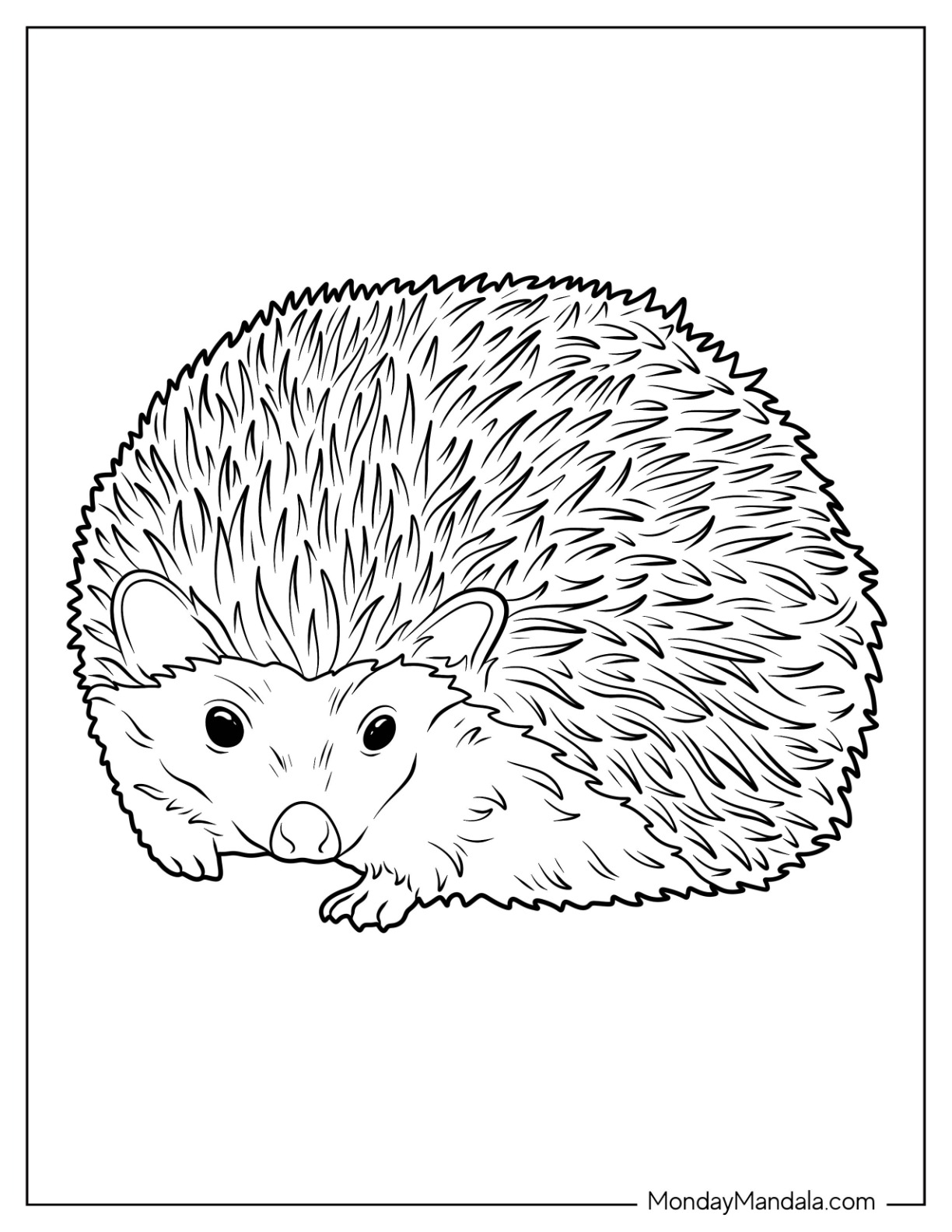 Hedgehog coloring pages free pdf printables