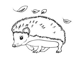 Hedgehog coloring page love coloring pages hedgehog colors coloring pages