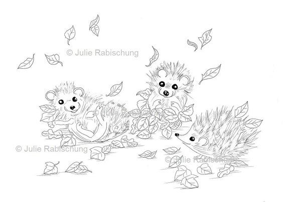 Cute hedgehogs coloring pages set cute hedgehogs digital stampscute hedgehog pumpkin leaves autumn